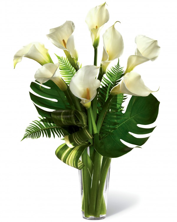 Calla Lily Sympathy Flowers Today Flower Delivery